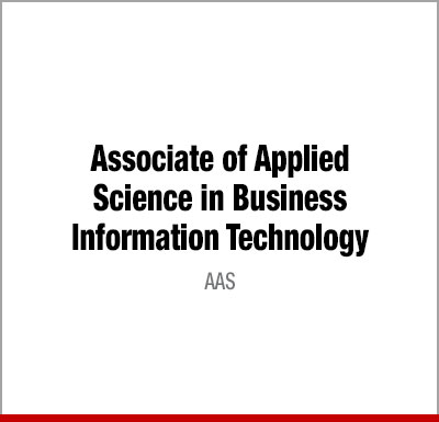 Business Info Tech