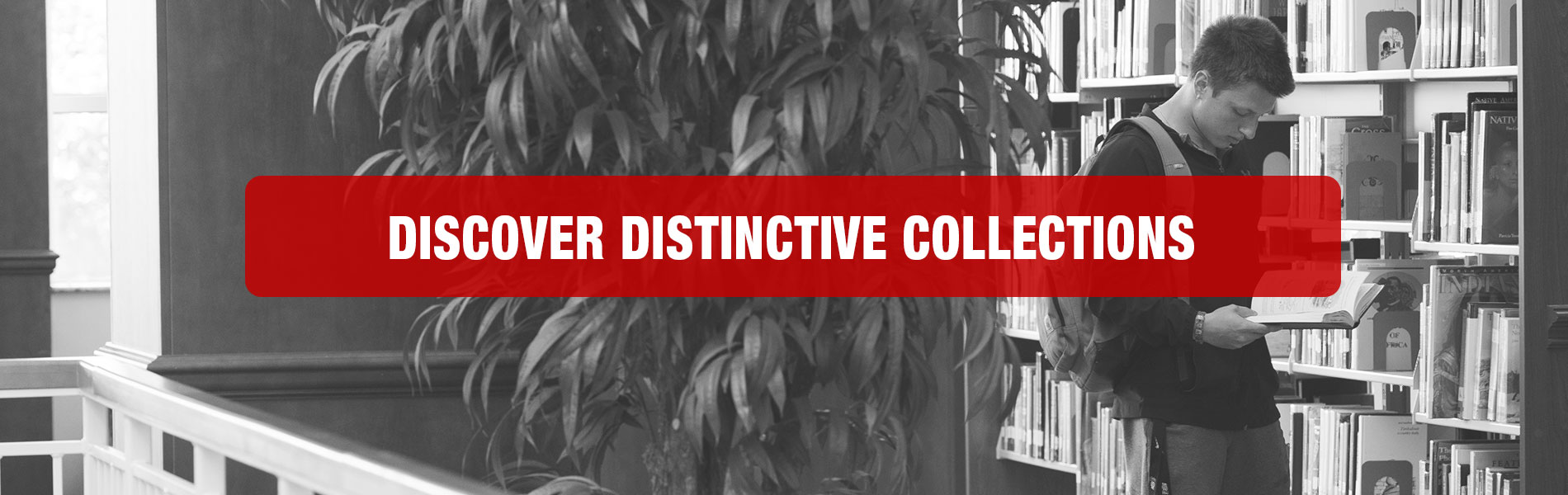 Distinctive Collections